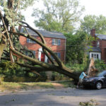 fallen tree in fron of a house