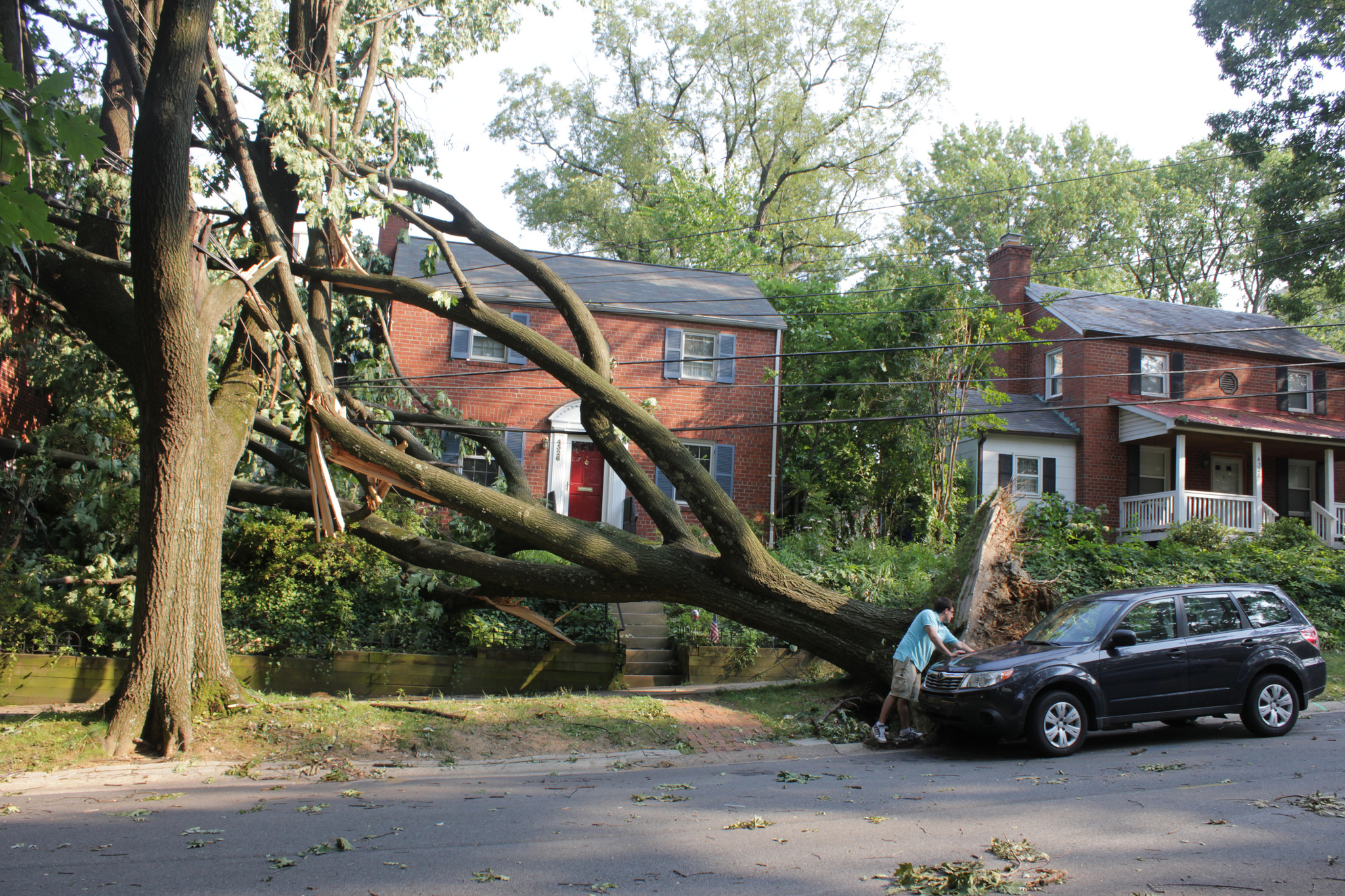 fallen tree in fron of a house