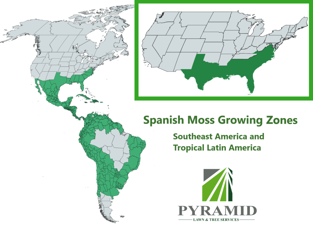 Spanish moss growing zones map