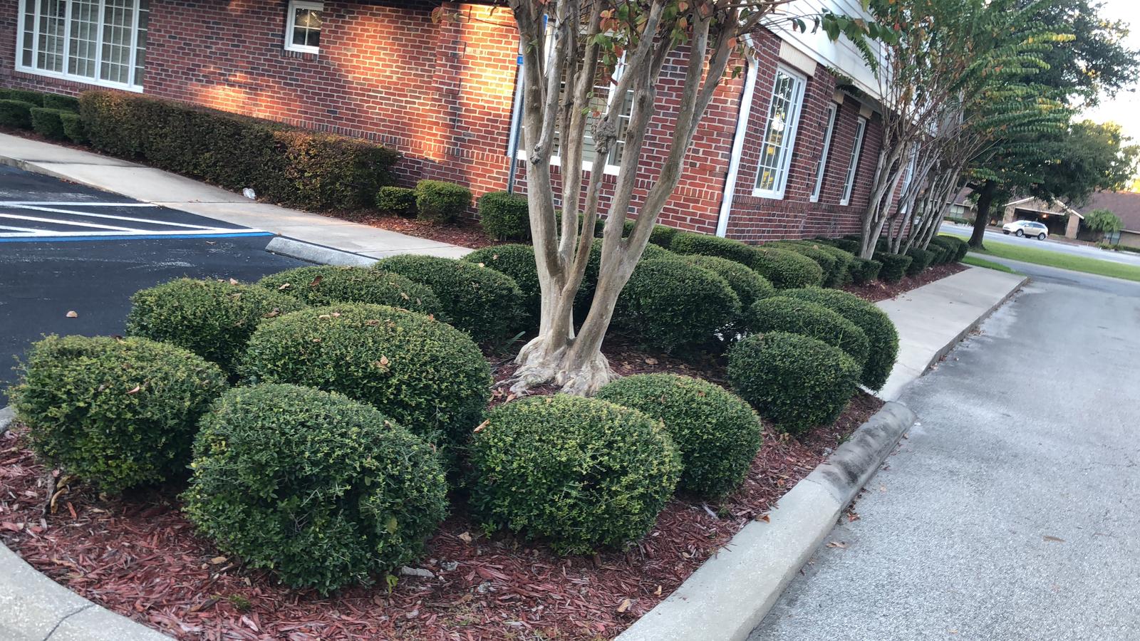 Pyramid Lawn COmmercial landscaping Baymeadows Jacksonville Florida