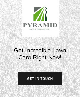 contact pyramid lawn for a free quote